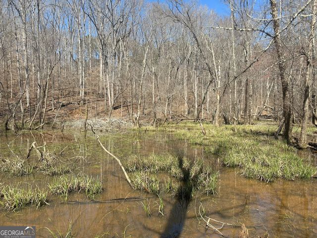 1191 Old Barnett Shoals Road, Athens, GA 30605