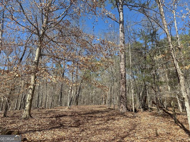 1191 Old Barnett Shoals Road, Athens, GA 30605