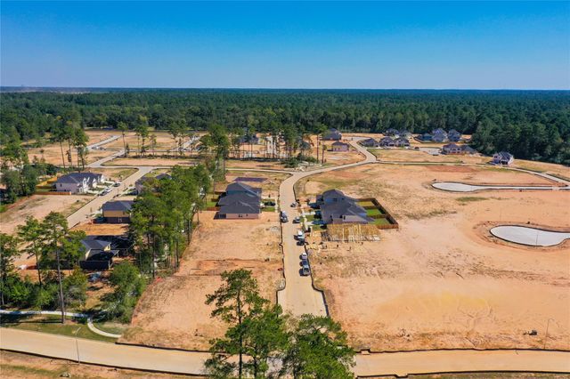 16563 Branchers Drive, Magnolia, TX 77354