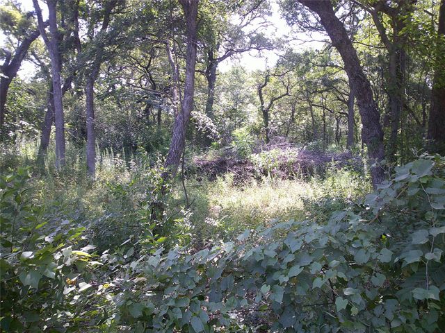 33 AC N Mason, Perrin, TX 76486