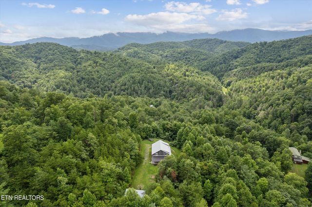 856 Little Berry Way, Del Rio, TN 37727