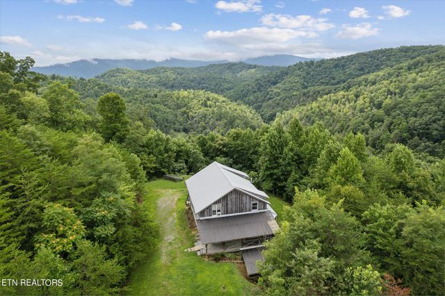 856 Little Berry Way, Del Rio, TN 37727