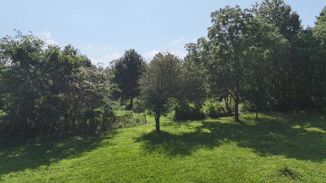 6815 Se Highway 54, Collins, MO 64738