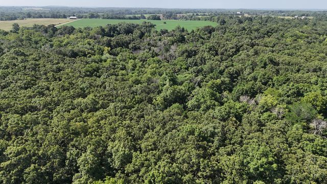 6815 Se Highway 54, Collins, MO 64738