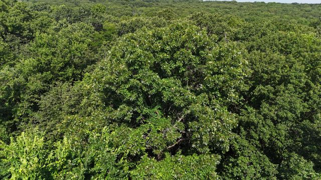 6815 Se Highway 54, Collins, MO 64738