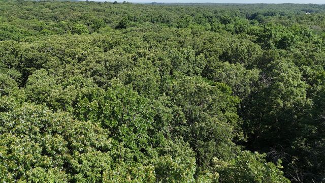 6815 Se Highway 54, Collins, MO 64738