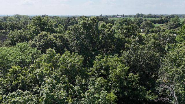 6815 Se Highway 54, Collins, MO 64738