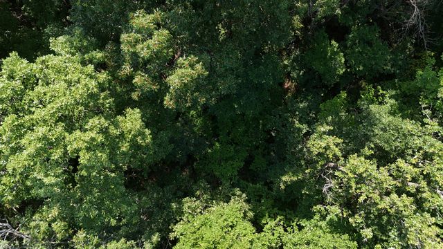 6815 Se Highway 54, Collins, MO 64738