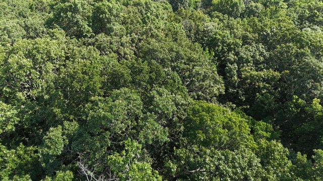 6815 Se Highway 54, Collins, MO 64738