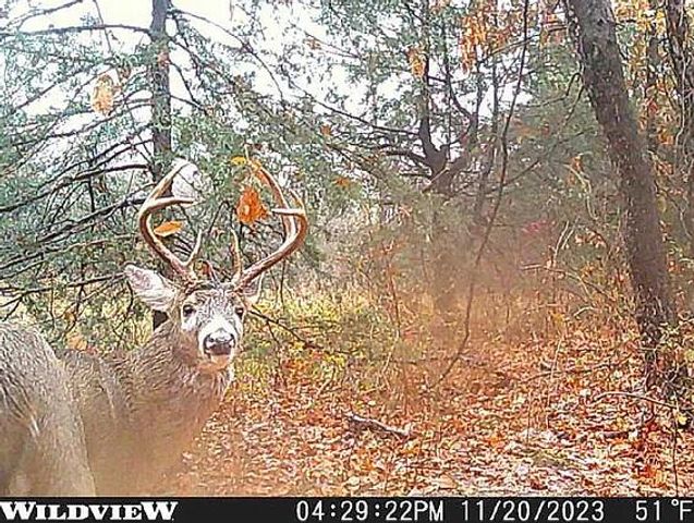 6815 Se Highway 54, Collins, MO 64738