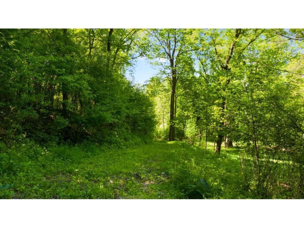 12991 Point Douglas Drive S, Hastings, MN 55033 — photo 3