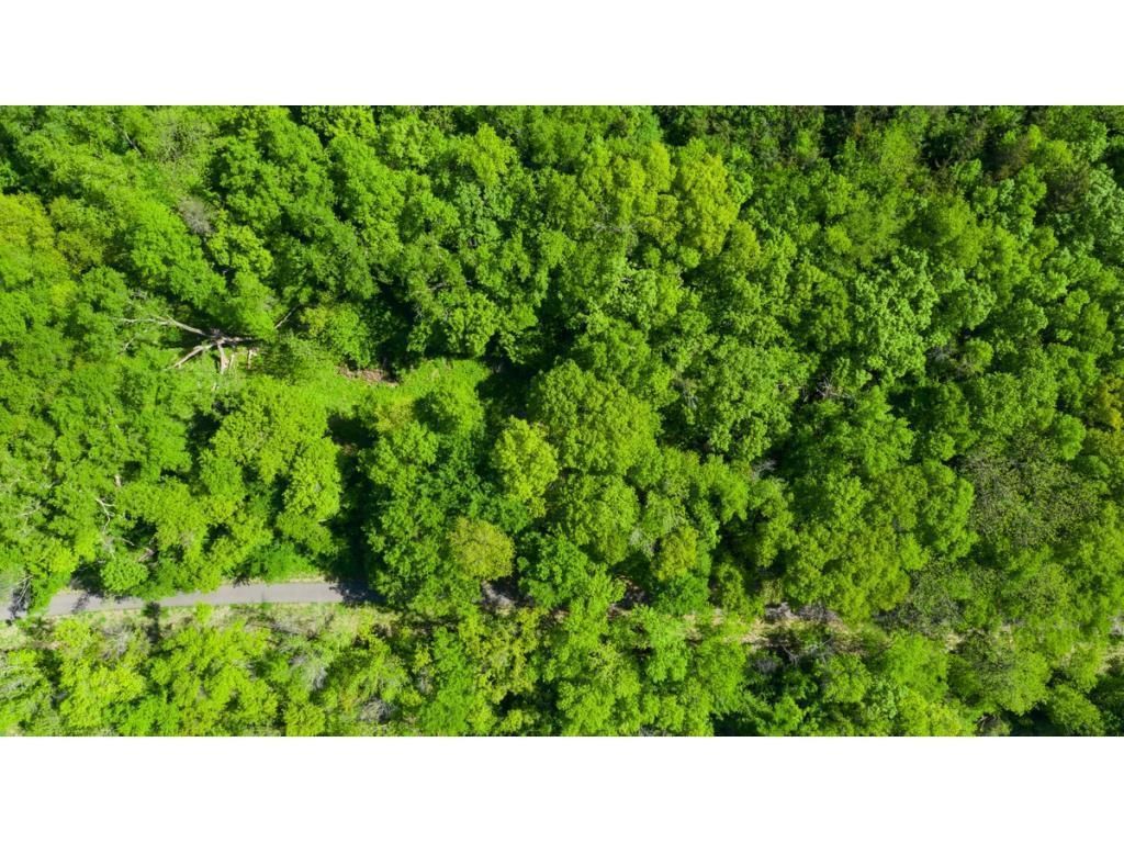 12991 Point Douglas Drive S, Hastings, MN 55033 — photo 4
