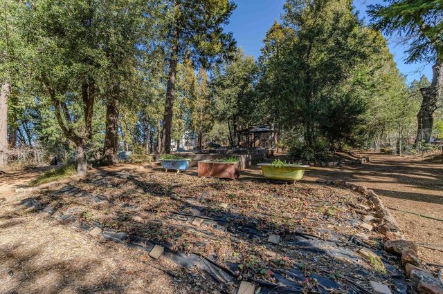 24985 Shake Ridge Rd, Volcano, CA 95689