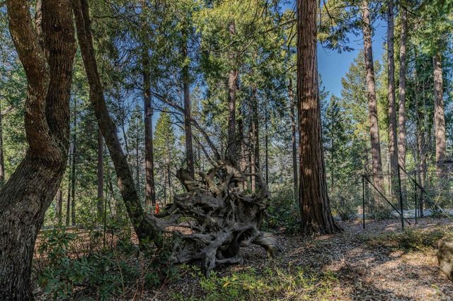 24985 Shake Ridge Rd, Volcano, CA 95689