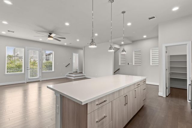 1509 Elgin Street, Houston, TX 77004