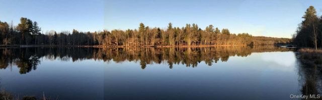 2 Sylvia Lane, Monticello, NY 12701