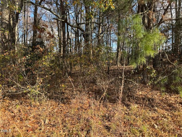 0 Martin Road, Zebulon, NC 27597