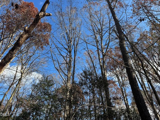 0 Martin Road, Zebulon, NC 27597