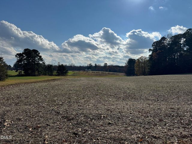 0 Martin Road, Zebulon, NC 27597