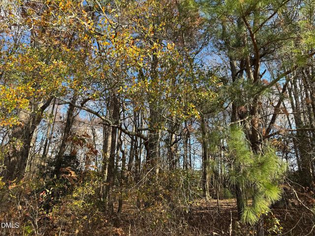 0 Martin Road, Zebulon, NC 27597