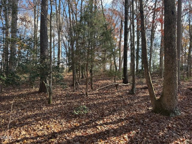 0 Martin Road, Zebulon, NC 27597