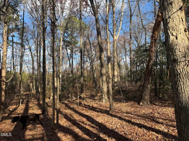 0 Martin Road, Zebulon, NC 27597