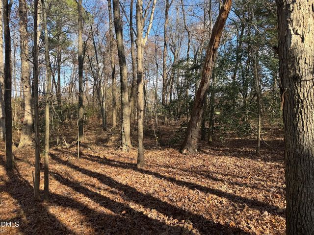 0 Martin Road, Zebulon, NC 27597