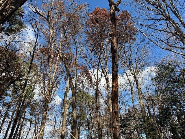 0 Martin Road, Zebulon, NC 27597