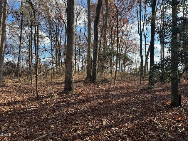 0 Martin Road, Zebulon, NC 27597