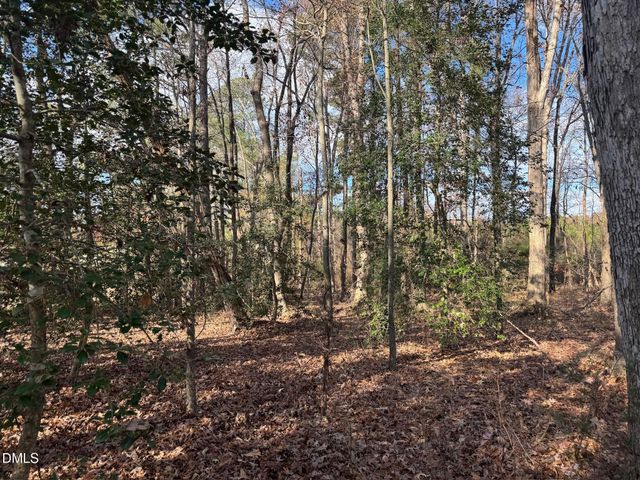 0 Martin Road, Zebulon, NC 27597