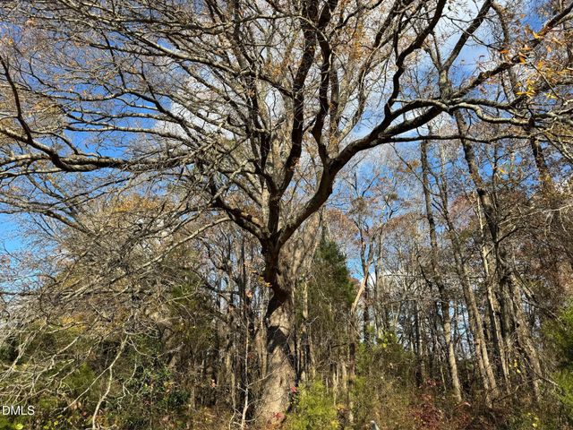 0 Martin Road, Zebulon, NC 27597