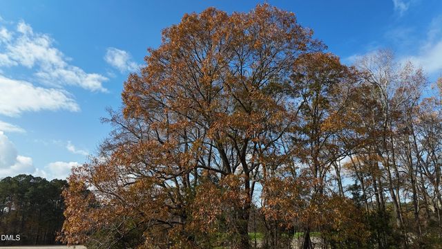 0 Martin Road, Zebulon, NC 27597