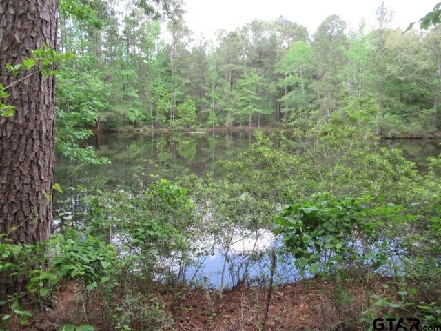 35.941 AC CR 2130, Crockett, TX 75835