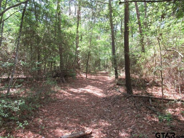 35.941 AC CR 2130, Crockett, TX 75835