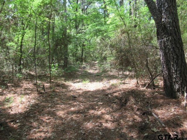 35.941 AC CR 2130, Crockett, TX 75835