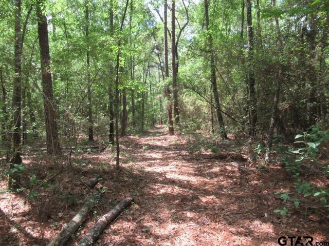 35.941 AC CR 2130, Crockett, TX 75835