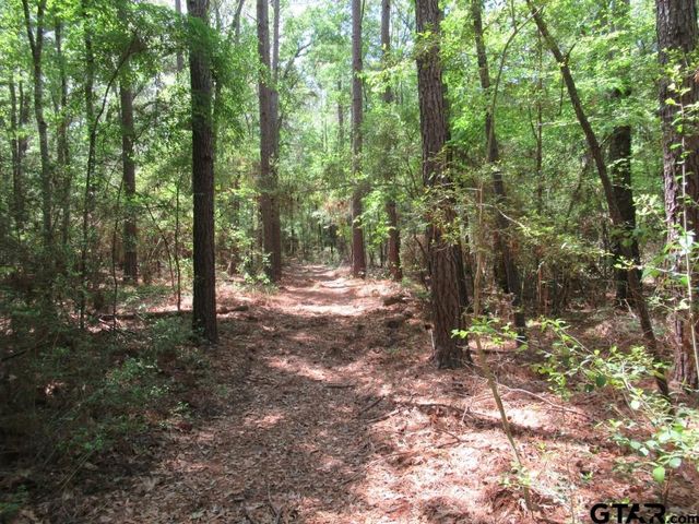 35.941 AC CR 2130, Crockett, TX 75835