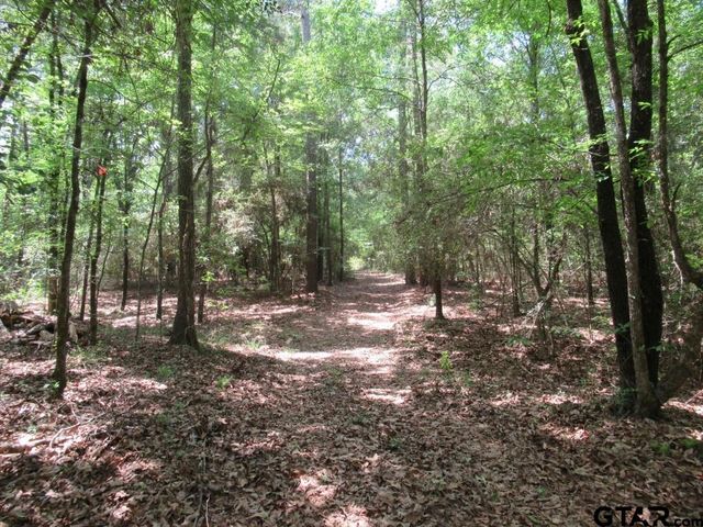 35.941 AC CR 2130, Crockett, TX 75835