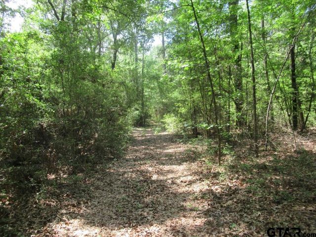 35.941 AC CR 2130, Crockett, TX 75835