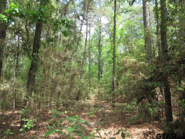 35.941 AC CR 2130, Crockett, TX 75835