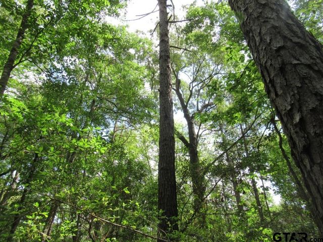 35.941 AC CR 2130, Crockett, TX 75835