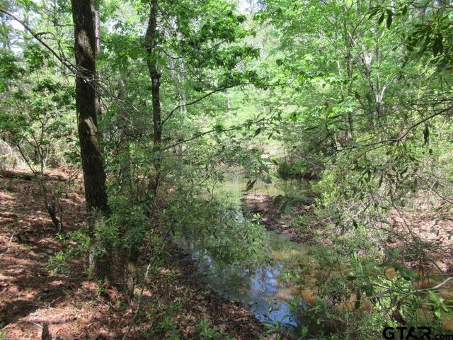 35.941 AC CR 2130, Crockett, TX 75835
