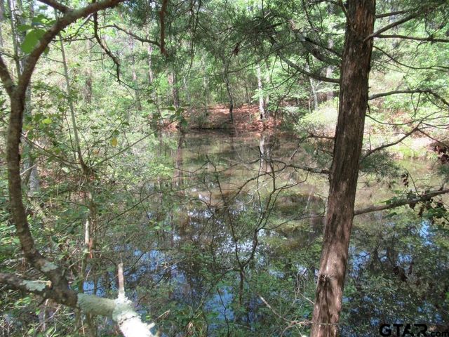 35.941 AC CR 2130, Crockett, TX 75835