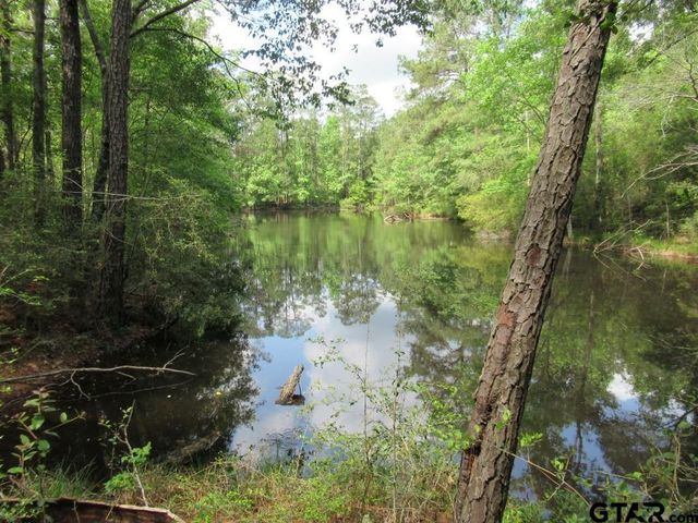 35.941 AC CR 2130, Crockett, TX 75835