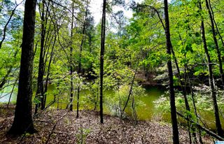 Lot 127 POST OAK ROAD, Wedowee, AL 36278