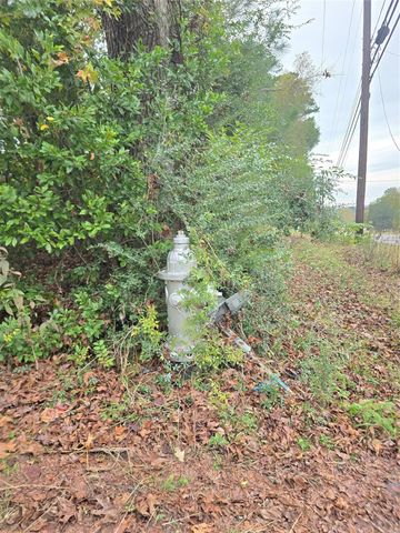 1006 S Houston Avenue, Livingston, TX 77351