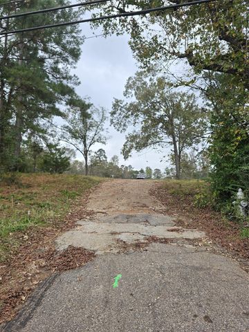 1006 S Houston Avenue, Livingston, TX 77351