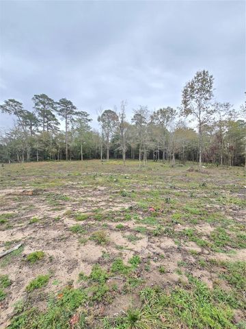 1006 S Houston Avenue, Livingston, TX 77351