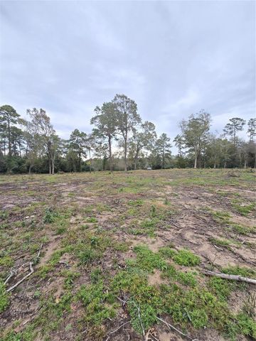 1006 S Houston Avenue, Livingston, TX 77351