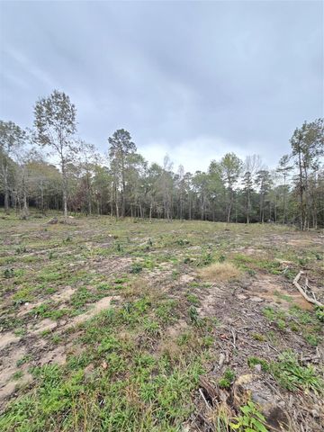 1006 S Houston Avenue, Livingston, TX 77351